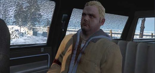 Брэд Снайдер